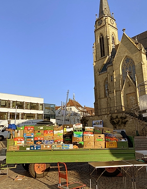 Bereits morgens vor dem Aufbau der Bücherkartons schien die Sonne Bereits morgens vor dem Aufbau der Bücherkartons schien die Sonne