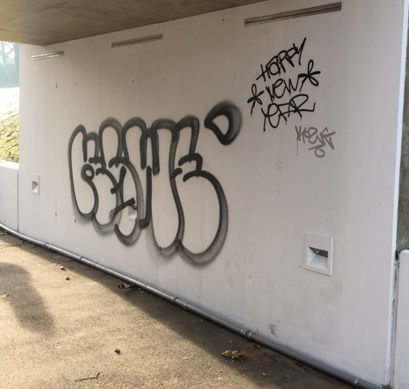 Beispiel am Kurpark: (Stand 1.1.25, Die Wand rechts ist seit der Herbstmesse „Bad Rappenau Regional“ am 19.10.24 in dem Zustand. Die linke Seite kam erst später dazu.)