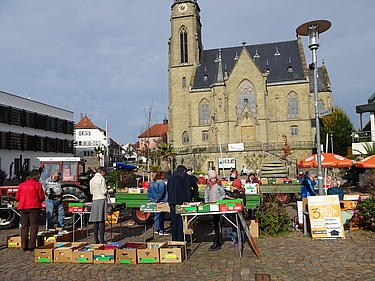 Viel Bücher-Auswahl gab es beim letzten Flohmarkt in diesem Jahr 